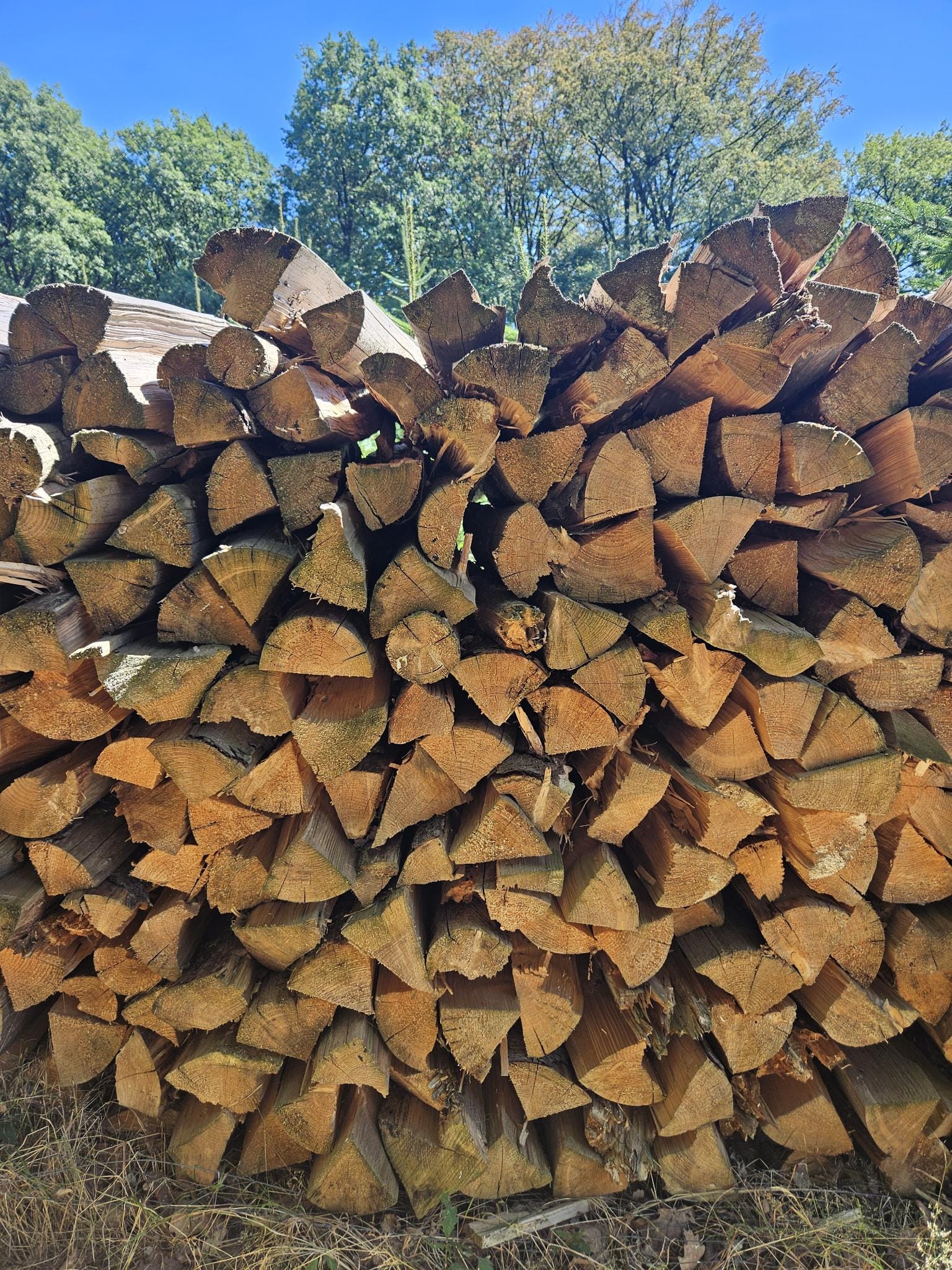 Buchenholz für Kamin und Ofen